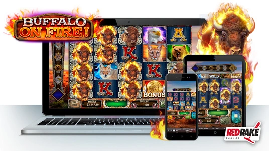 Red Rake Gaming con el estreno de Buffalo on fire!