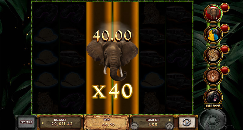 Elephant