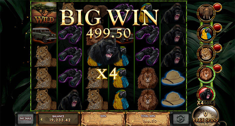 Gorilla