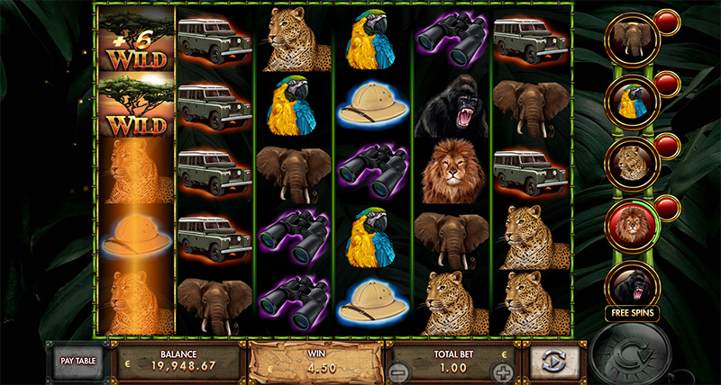 Lion