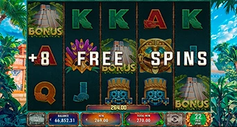 Free Spins Feature