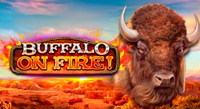 Buffalo on Fire!