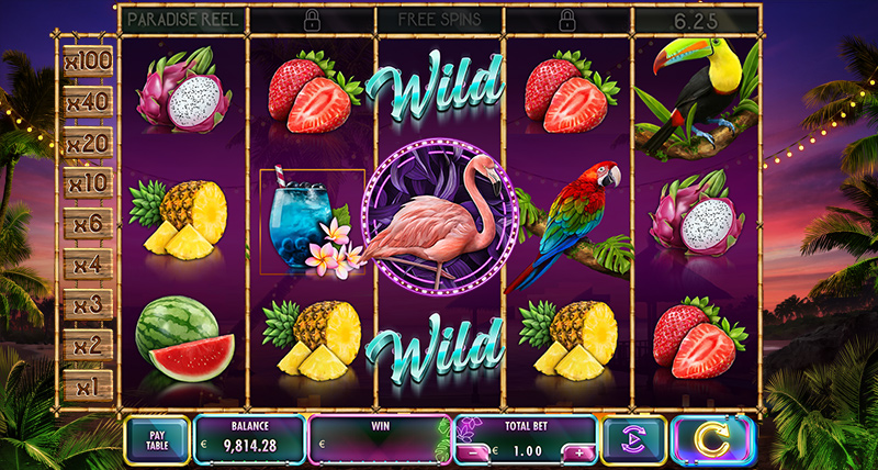 Paradise slot