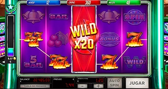 Rodillo Multiplicador