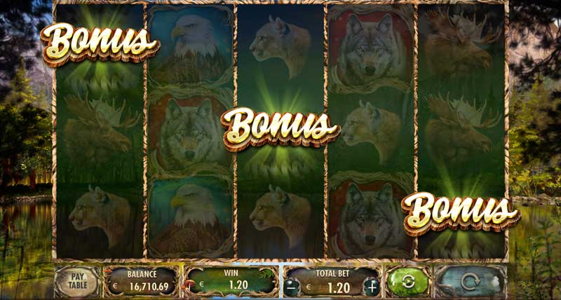 Bonus