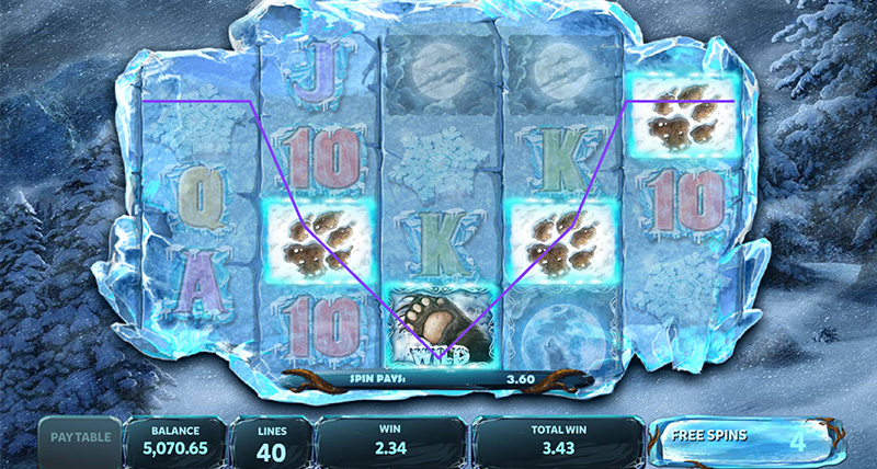 Wild Symbol